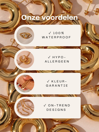 Anouck Zirkonia Ring Met Zwarte Steen Goud